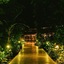 Almonds And Corals Boutique Hotel