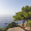 Apartments Mare
