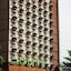 Hotel Olive