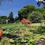 Vanira Lodge