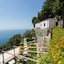 Holidays Fico D'india