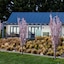 Websters On Wanaka Lodge
