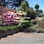 Kauri Point Luxury Bed & Breakfast