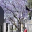 Park Hyatt Johannesburg