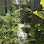 Captiva Beach Resort