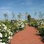 Hotel Garden Club