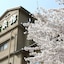 Gero Onsen Kissenkan Chikusuitei