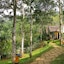 Niraamaya Cardamom Club