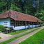 The Tamara Coorg