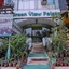 Hotel Green View Palace