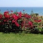 Hermes Sea View