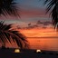 Seaboard Bungalows