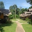 Jungle Garden
