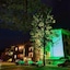 Mountain View Resort
