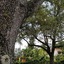 Parkway Inn Airport Motel Miami