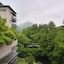 Hanamurasaki
