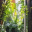 Árbol De Fuego Eco-Hotel, A Green Experience In The City