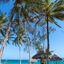 Turtle Bay Beach Club