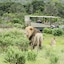 Sibuya Game Reserve