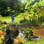 Volcano Artist Cottage