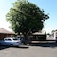 Shannon Motor Inn