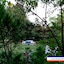 Shaheen Bagh - A Luxury Resort & Spa