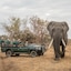 Karongwe- Shiduli Safari Lodge