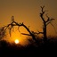 Rhino Ridge Safari Lodge