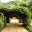 Octagon Lodge