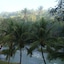 Mahogany Hall Boutique Resort