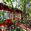Rainforest Hotel & Cabañas