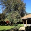 Hacienda Los Lingues Chili