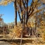 Burch Street Casitas Hotel Taos