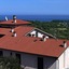 Il Corbezzolo