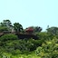 Roatan Bed & Breakfast Apartments