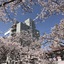 Smile Hotel Mito