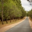 Renmark Resort