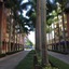 Lyx Suites At Merrick Park In Coral Gables