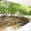 Casa Vacacional Manatwar 2