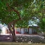 Lvis Blancura