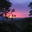 Phoenix Eumundi Bed & Breakfast