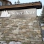 Silver Bear 20