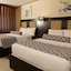 Olive Tree Amman