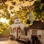 The White Lion