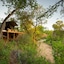 Klaserie Sands Safari Trails