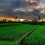 Kawi Resort A Spiritual Sanctuary To Escape