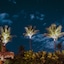 Casa De Areia