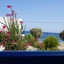 Hotel Eleni Beach