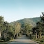 Canary Natural Resort