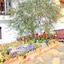 Shima Mediterranean Village